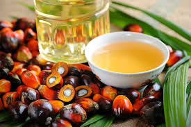 Los beneficios del aceite de palma a análisis