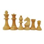 ¿Por qué es tan necesario un chess coach?