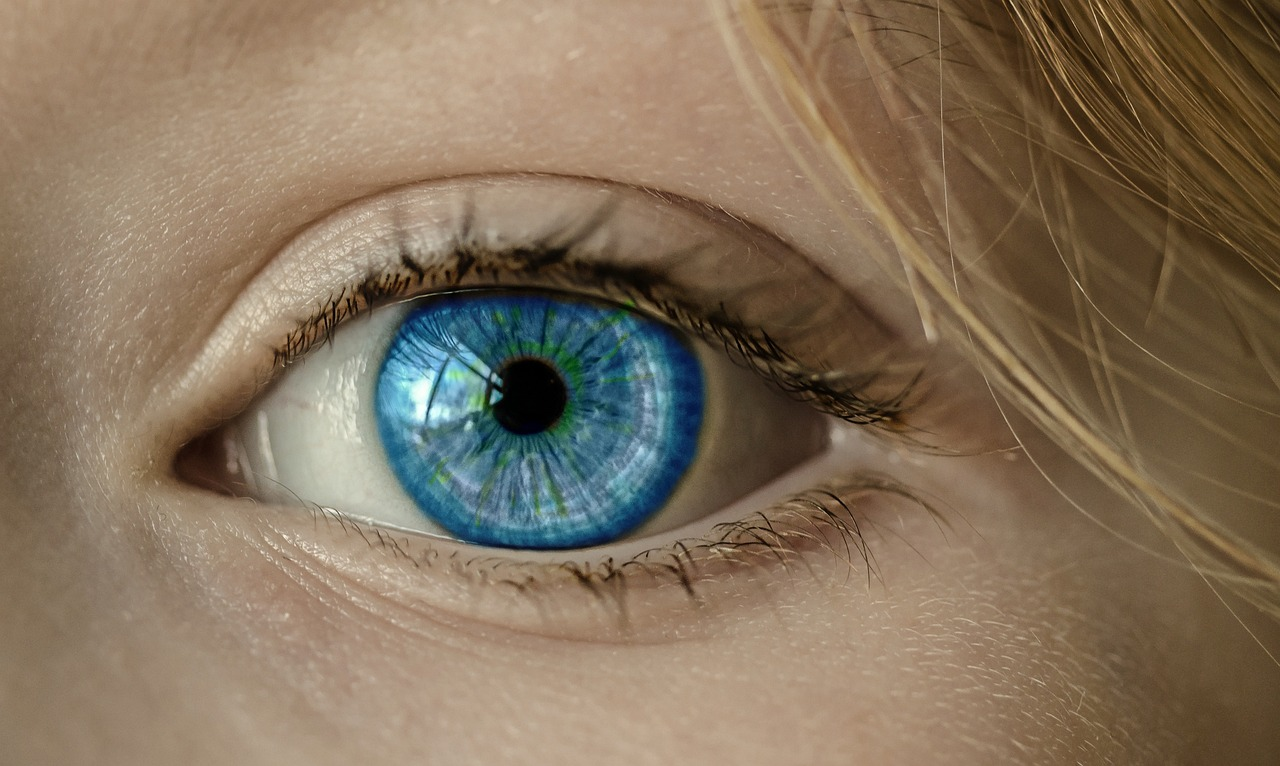 Exploración de la retina: Comprender sus ventajas y limitaciones en diversos sectores
